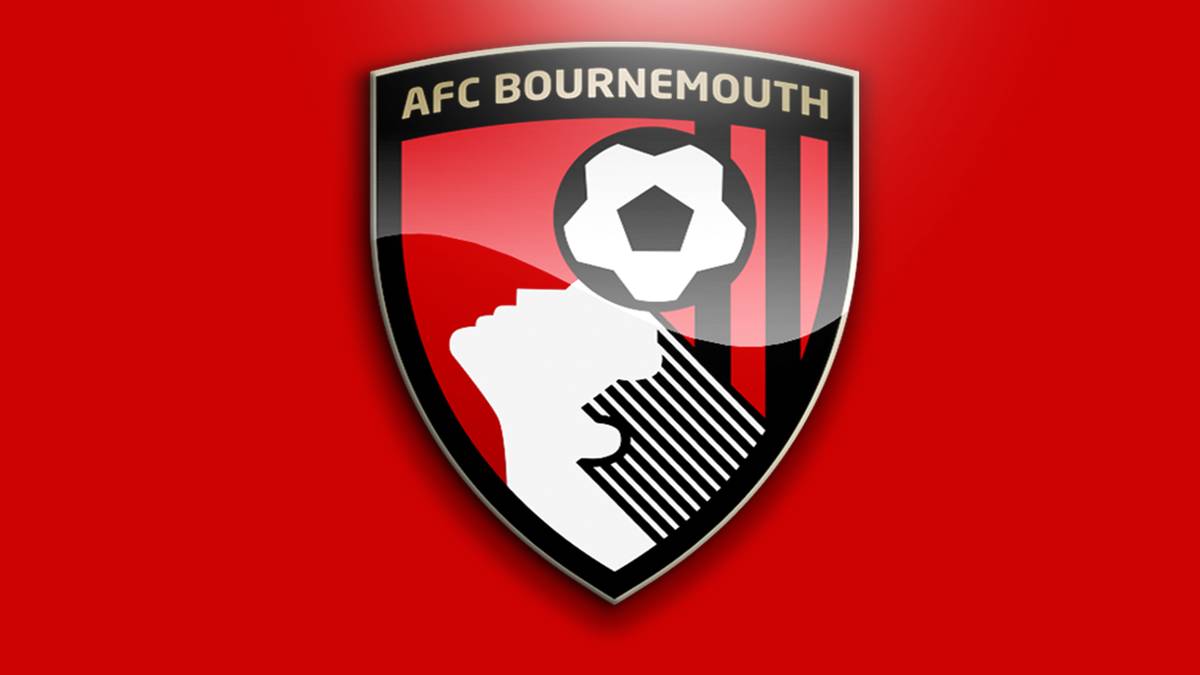 AFC Bournemouth, England, Premier League: Kurios. So kommt auch der AFC Bournemouth mit seinem langhaarigen Kopfball-Wappen herüber - welches übrigens nicht in der Liste der "Dailymail" landete