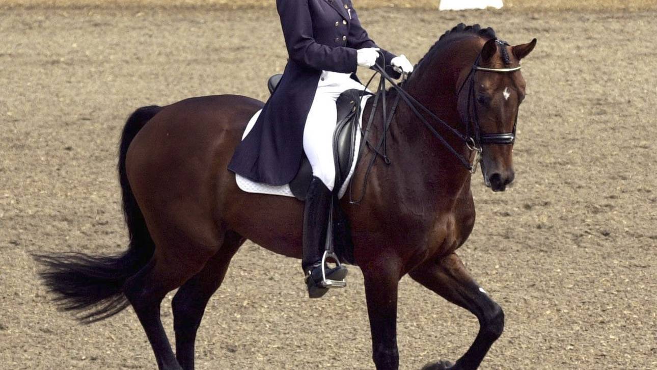 Neues Wertungssystem für Dressur