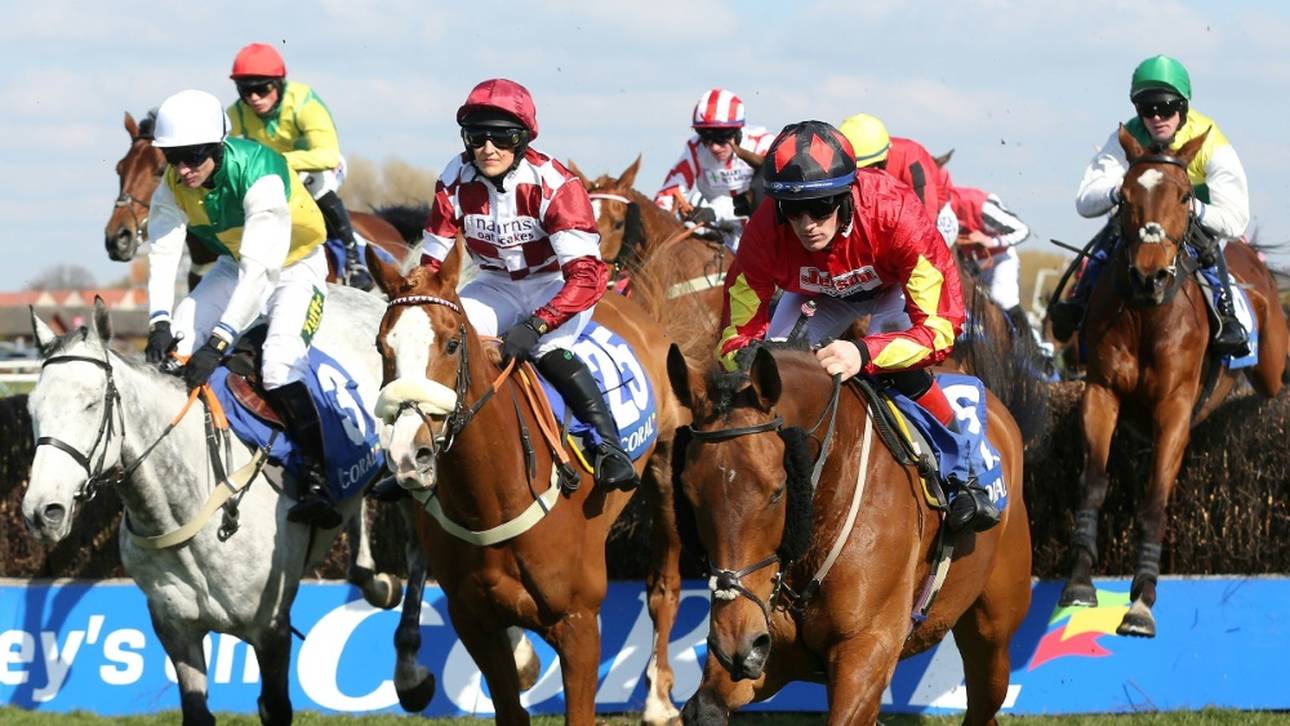 Herpes-Virus: Impfpflicht für Galopper