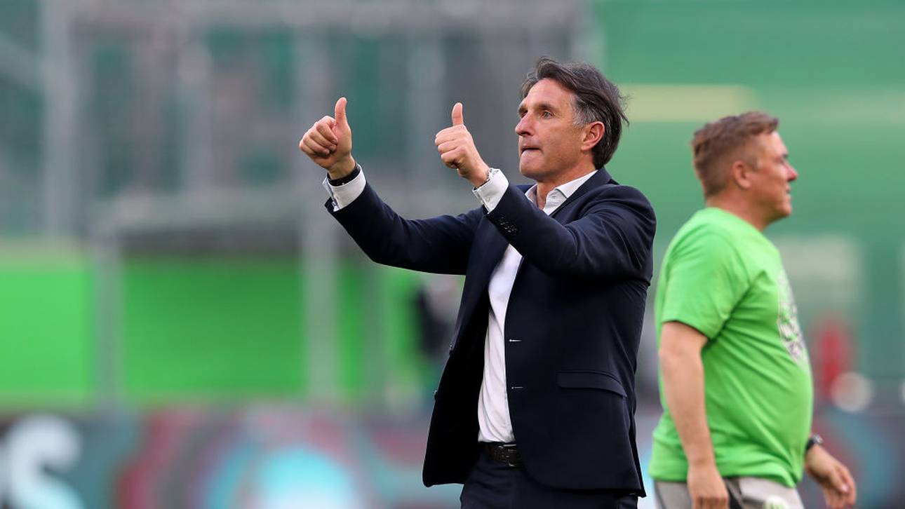 Labbadia Favorit als Hertha-Trainer