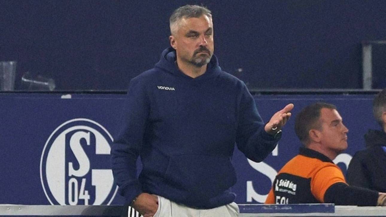 Reis soll Schalke vor Abstieg retten