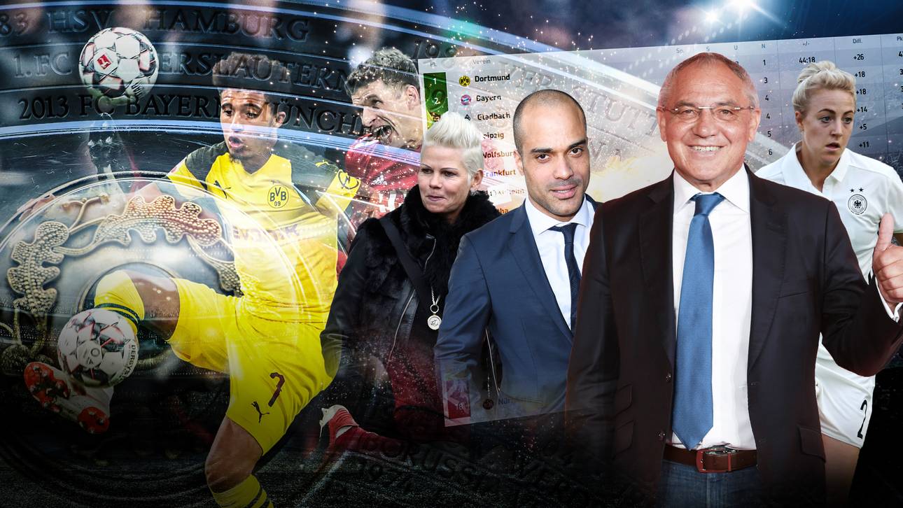 Schalke spaltet die Experten