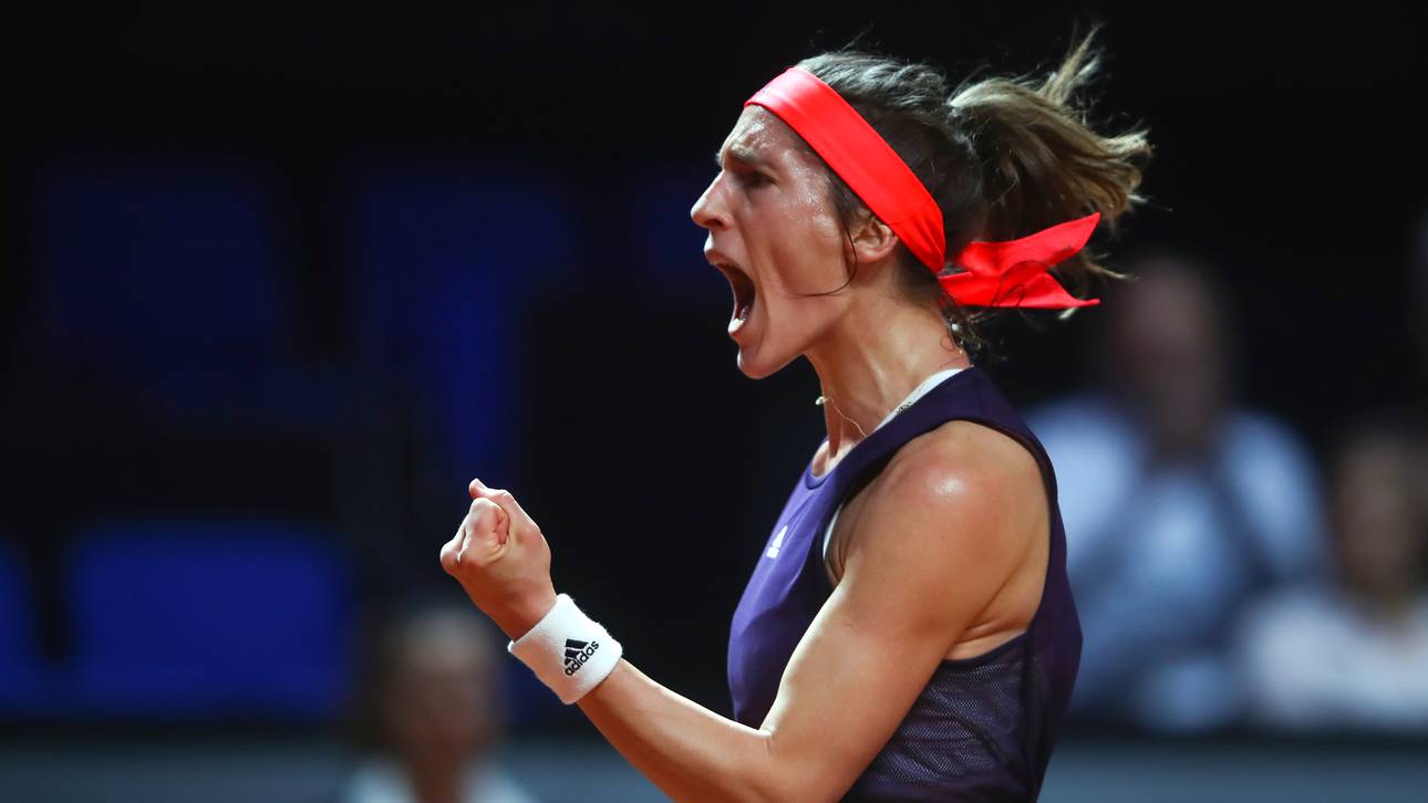 Petkovic steht vor Jobwechsel