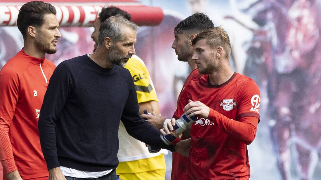 Werner von Trainer Rose angetan