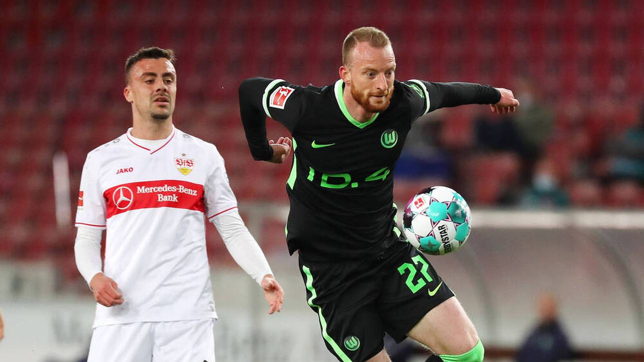 Können Wölfe ihre Krise überwinden?