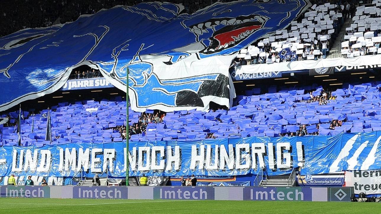 HSV braucht neuen Finanz-Vorstand