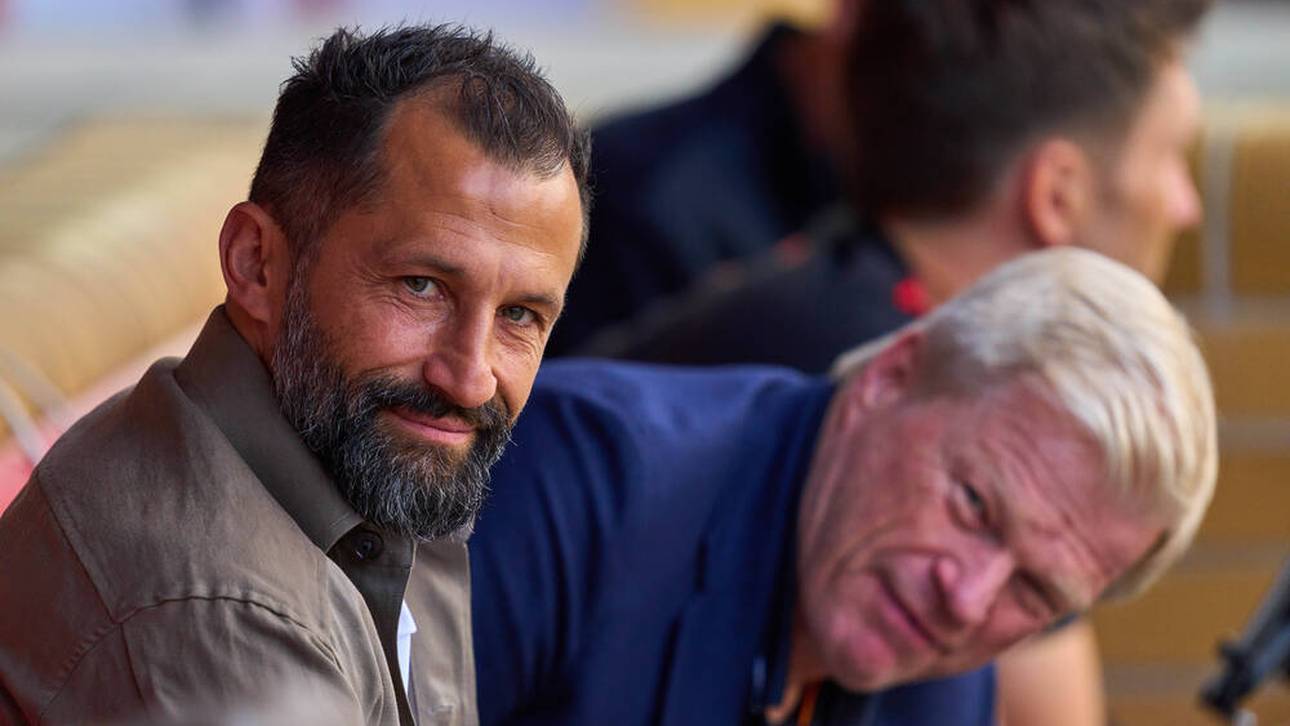 Salihamidzic-Klartext zu Kane