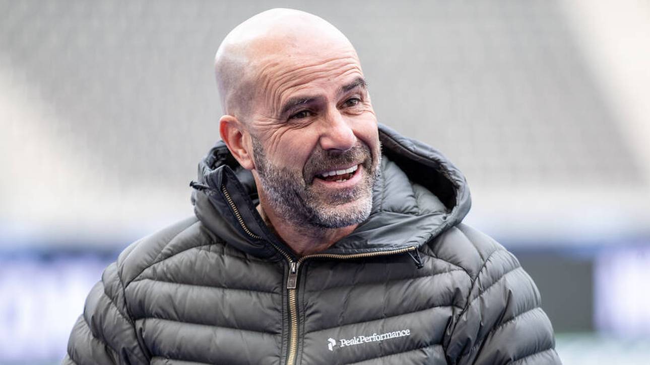 DFB-Auszeichnung für Peter Bosz