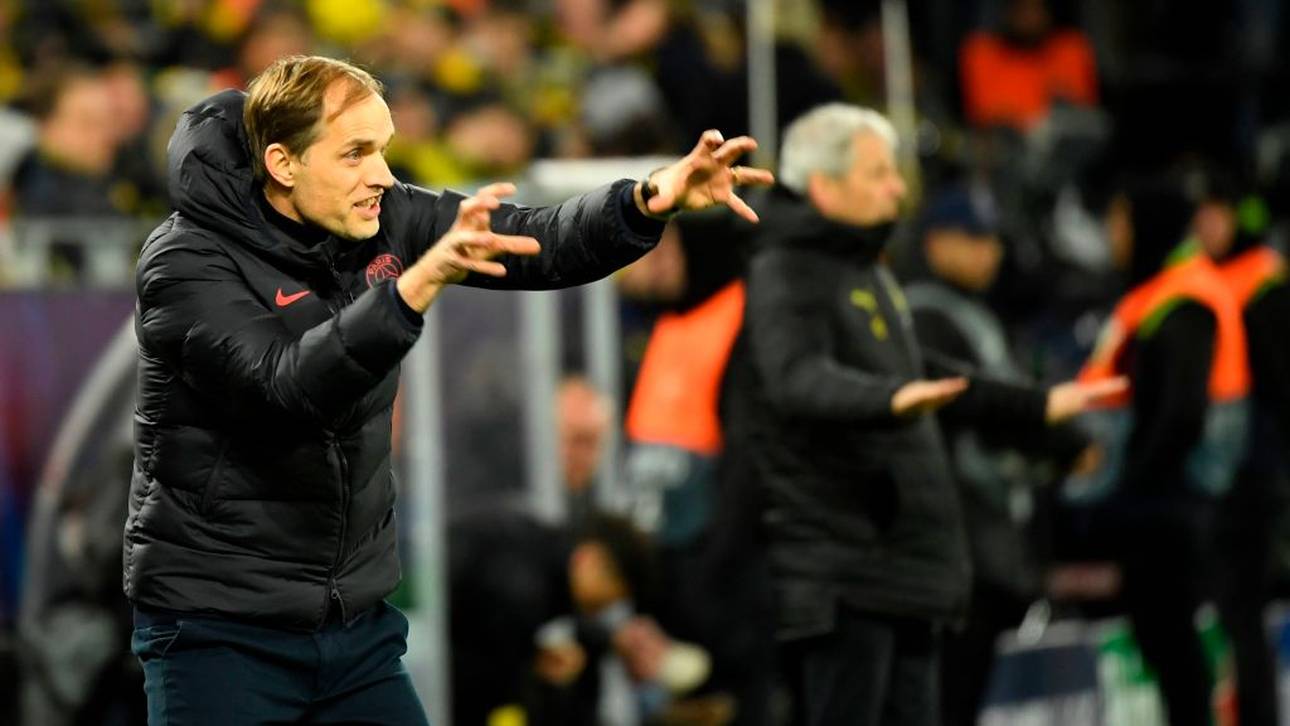 Tuchel über Haaland: „Ist ein Tier“