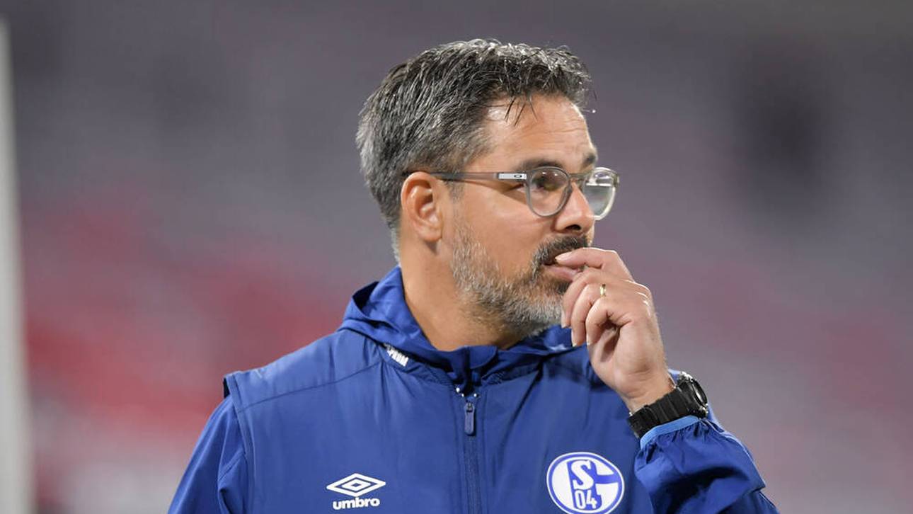 Wagner spricht erstmals nach S04-Aus