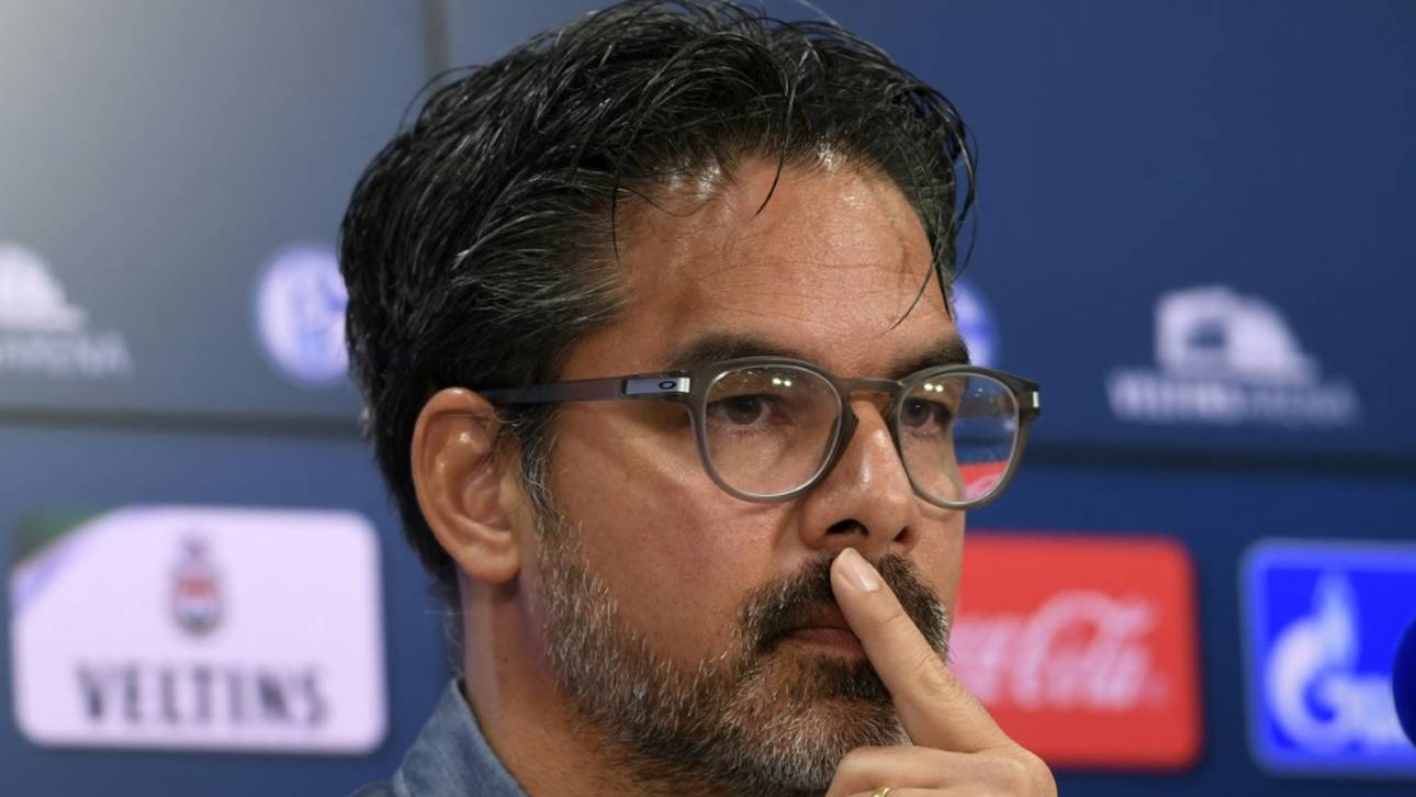 Wagner übernimmt Zweitligisten Norwich City