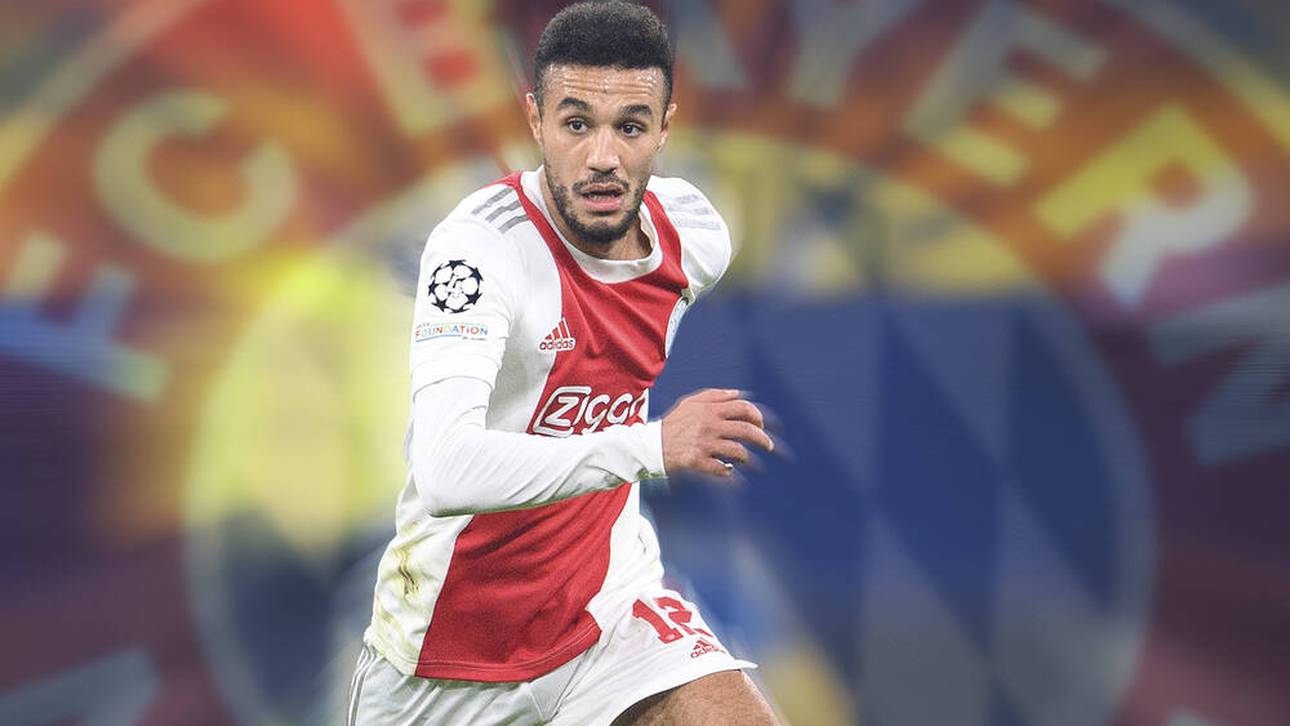 Die Zahlen zum Mazraoui-Deal