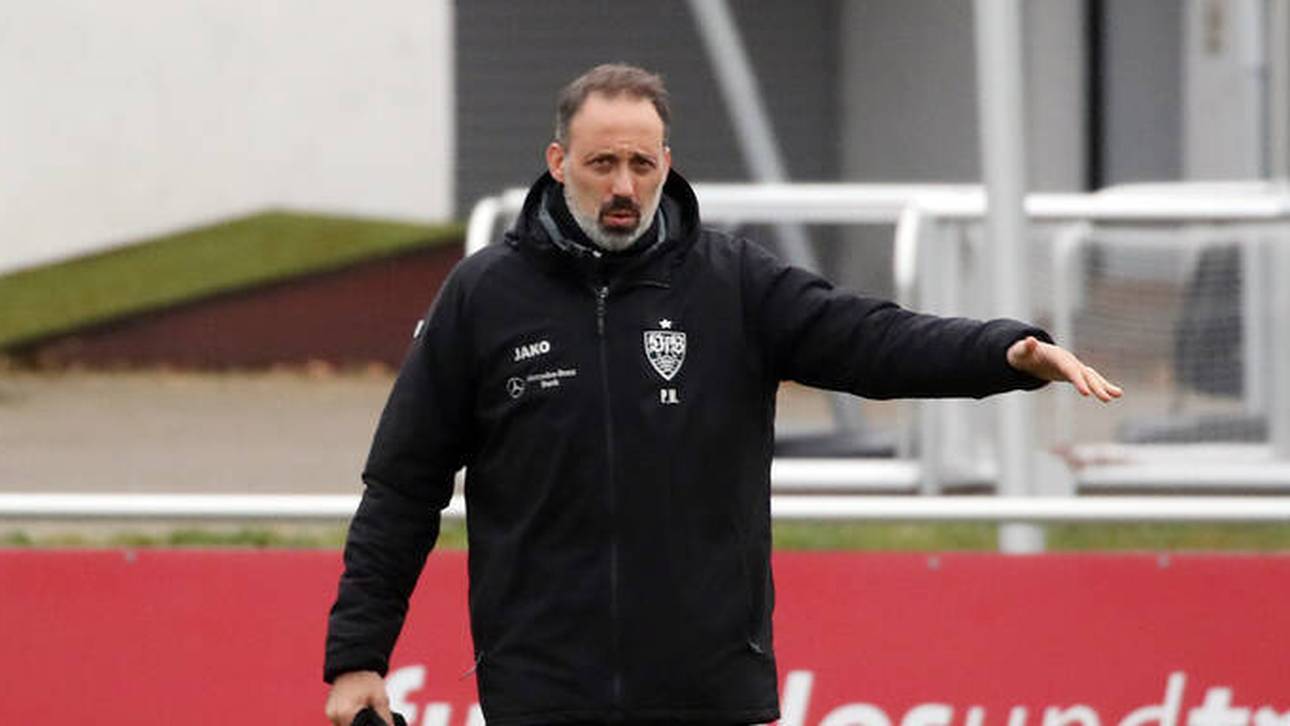 VfB-Machtkampf: Das sagt Matarazzo