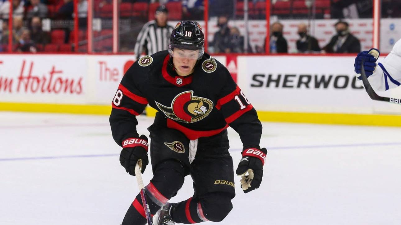 Deutsche NHL-Stars trumpfen auf!