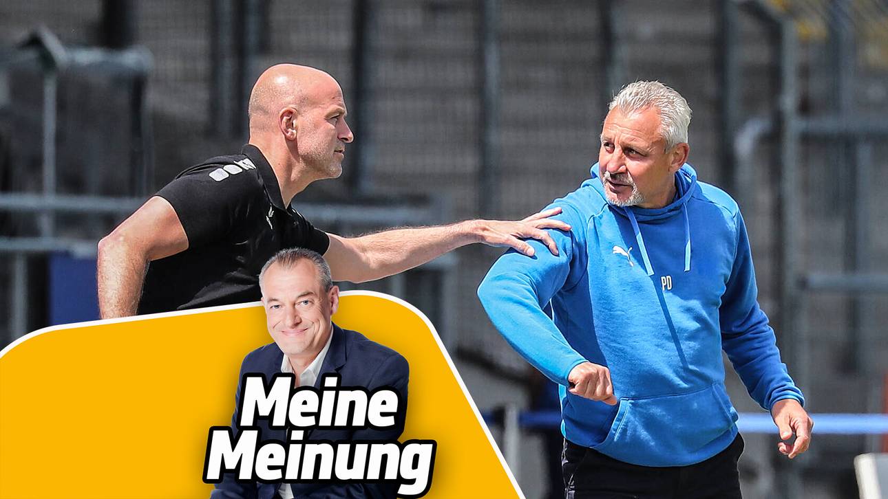 Drei Dinos und drei neue Trainer