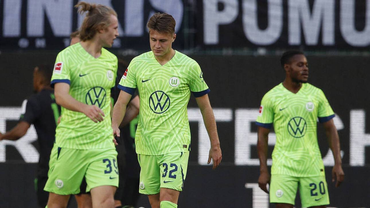 Wölfe werden Zugbegleiter