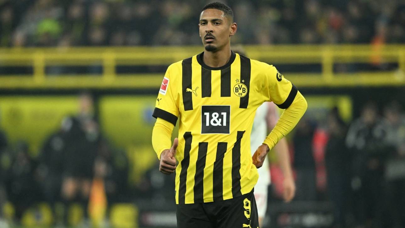 Wie Terzic nun mit Haller plant