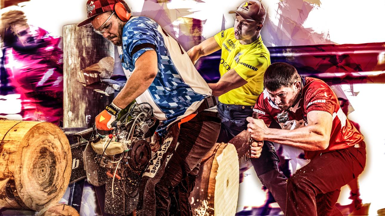 Wer ist der beste Holzfäller der Welt?