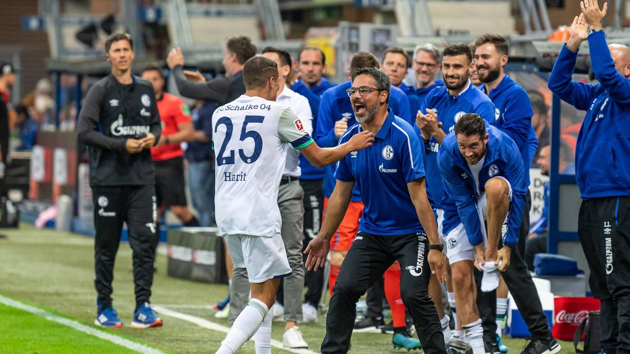 Amine Harit (l.) blüht unter David Wagner auf - und bedankte sich nach seinem ersten Treffer in Paderborn bei Schalkes neuem Trainer