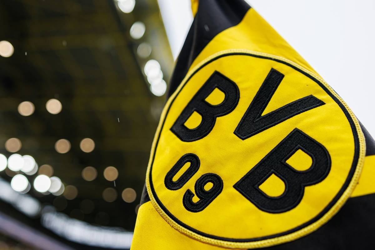 BVB will gegen AfD klagen