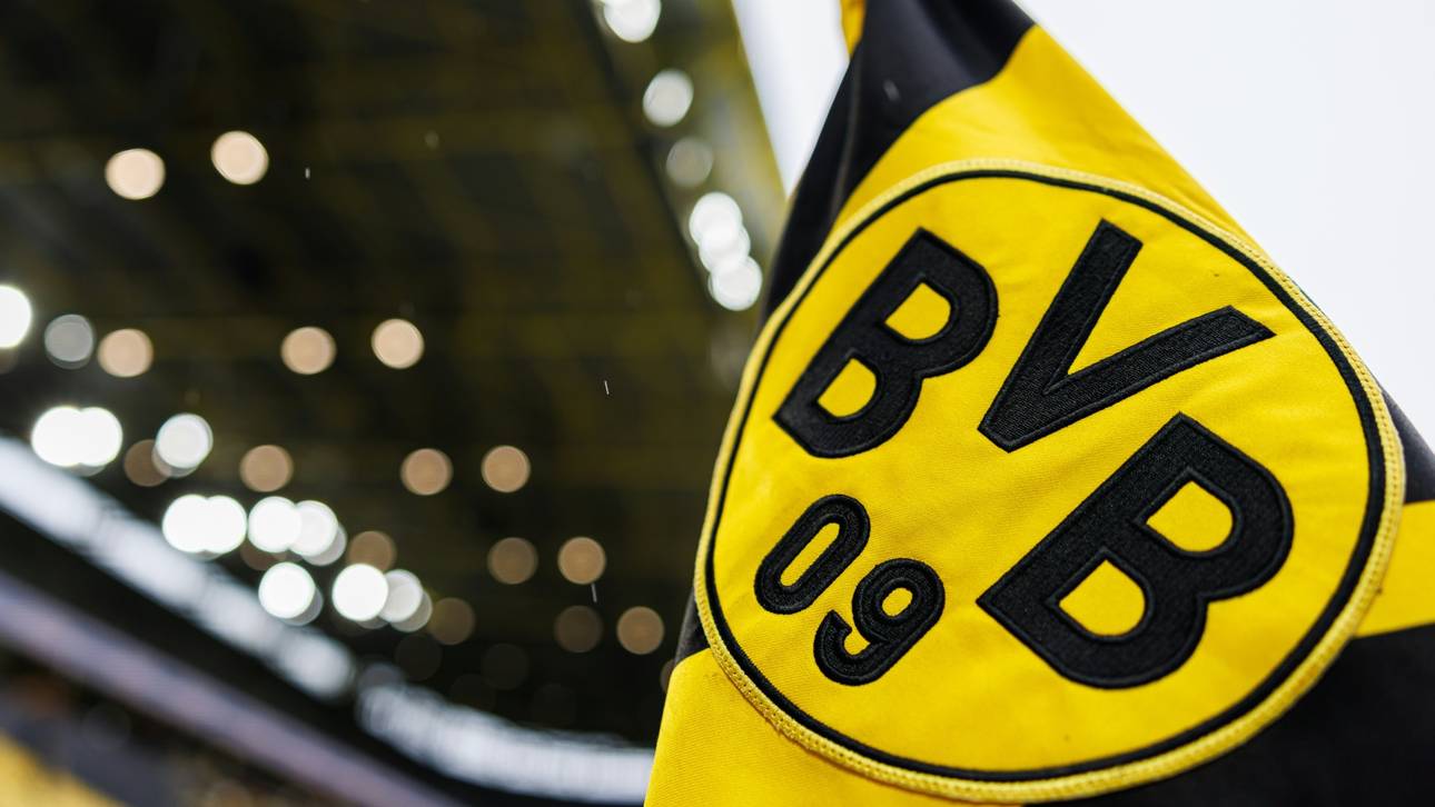 BVB will gegen AfD klagen