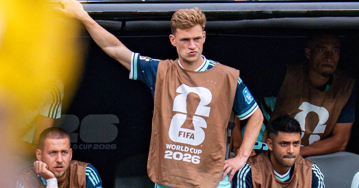 WM 2026: Kimmich auf die Sechs? Effenberg und Babbel reden Klartext