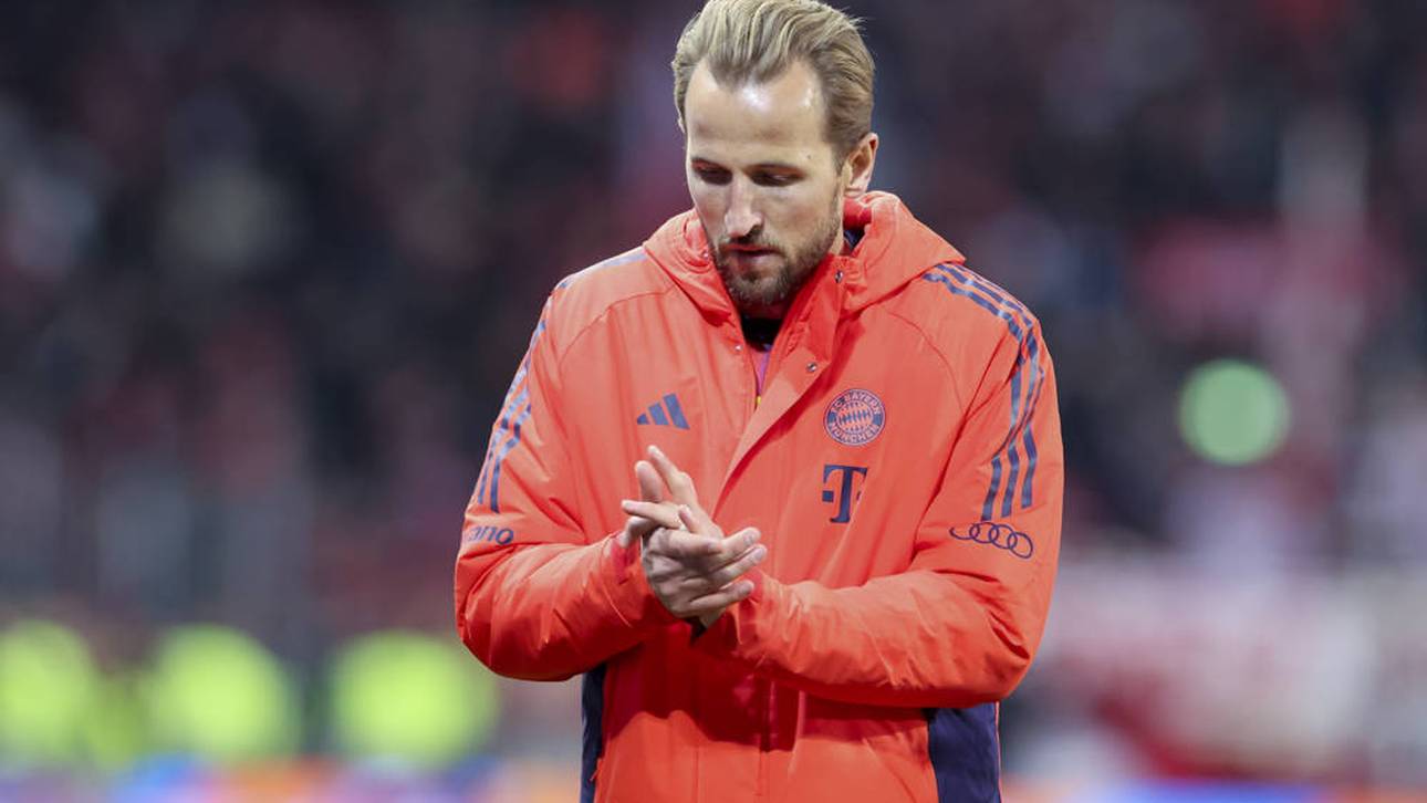 Hier baut Kane seine Luxus-Villa