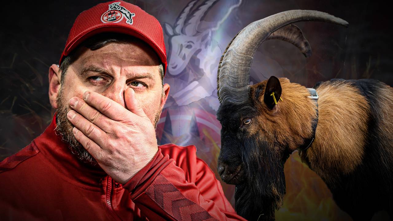 Nach Hammer: Baumgart steht zu Köln