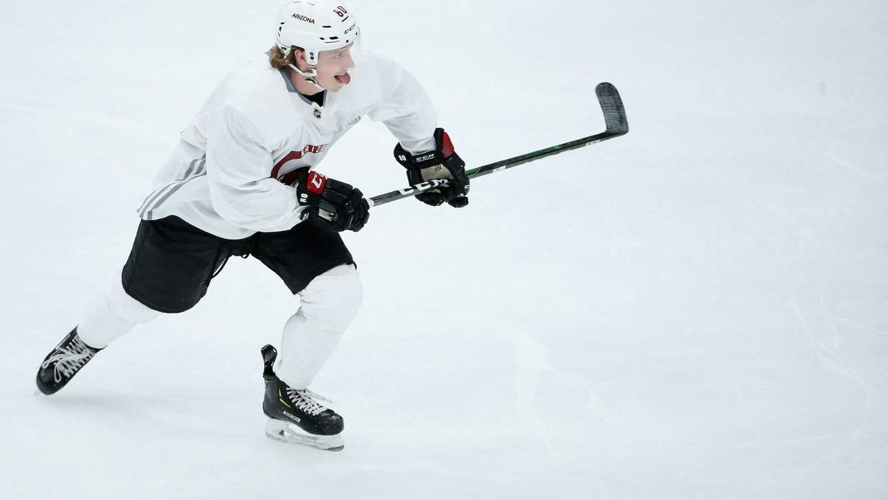 DEL-Klub rüstet auf