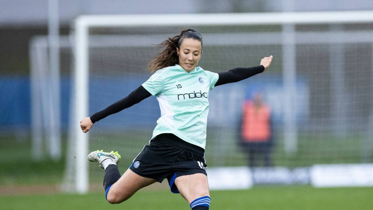 Hoffenheim verstärkt Defensive