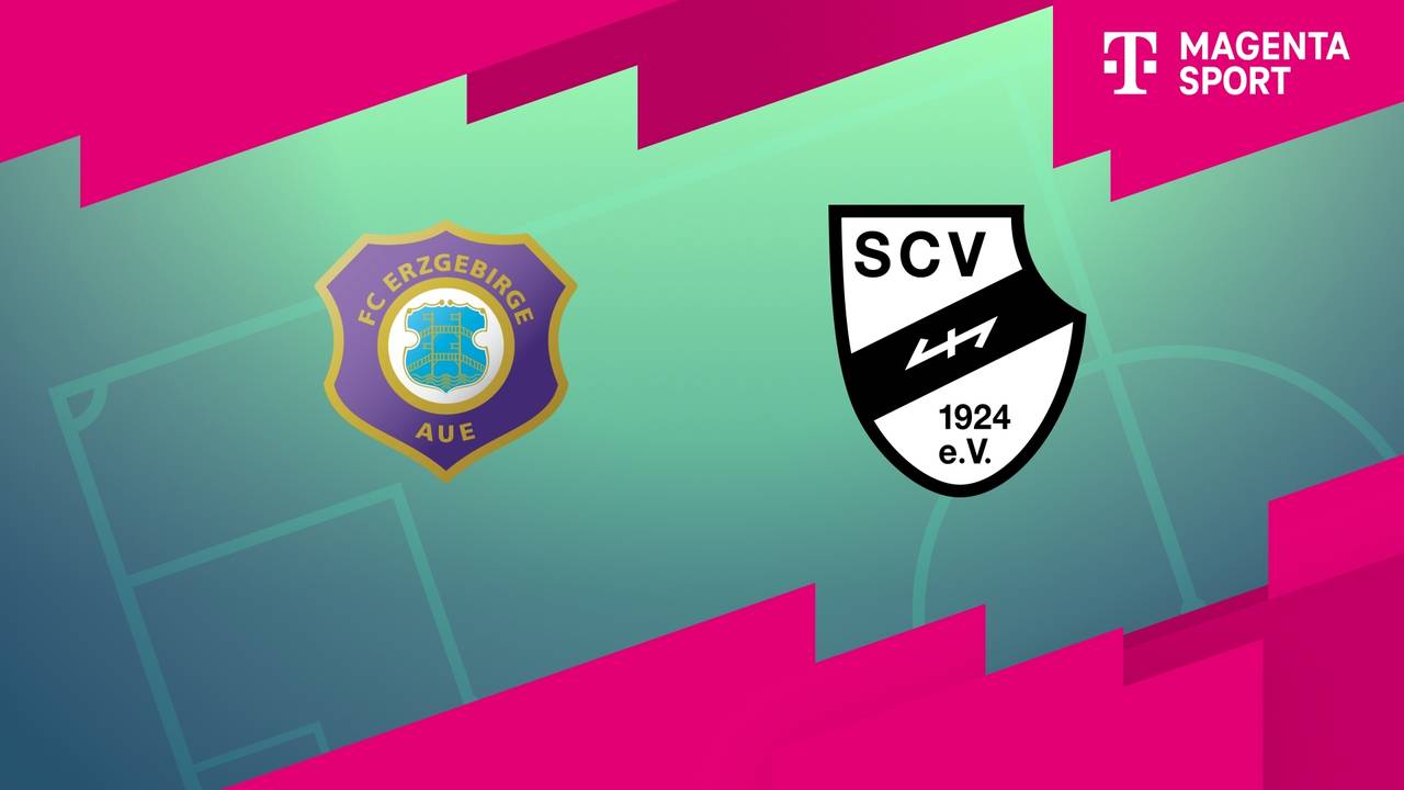 FC Erzgebirge Aue - SC Verl (Highlights)