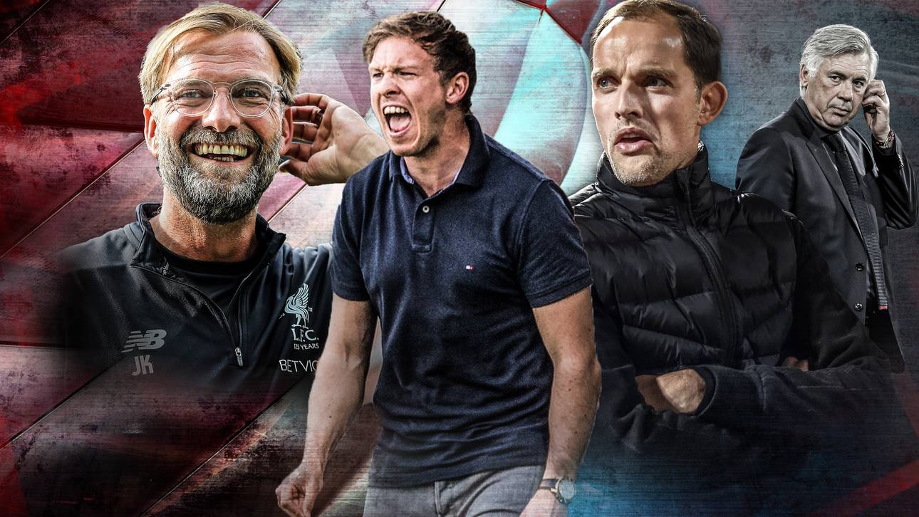 Die Favoriten auf Ancelottis Erbe