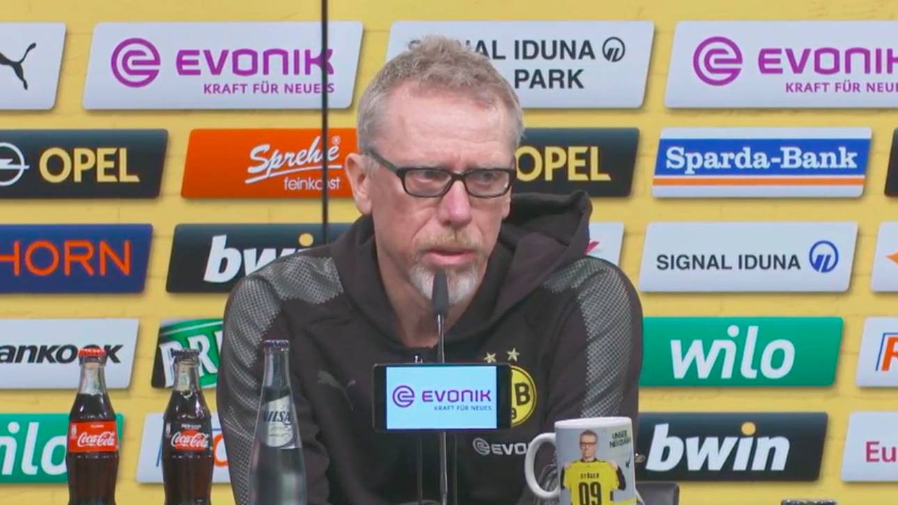 Das sagt Stöger zu seiner Zukunft