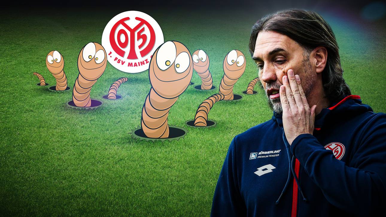 100.000 Würmer ärgern Schmidt