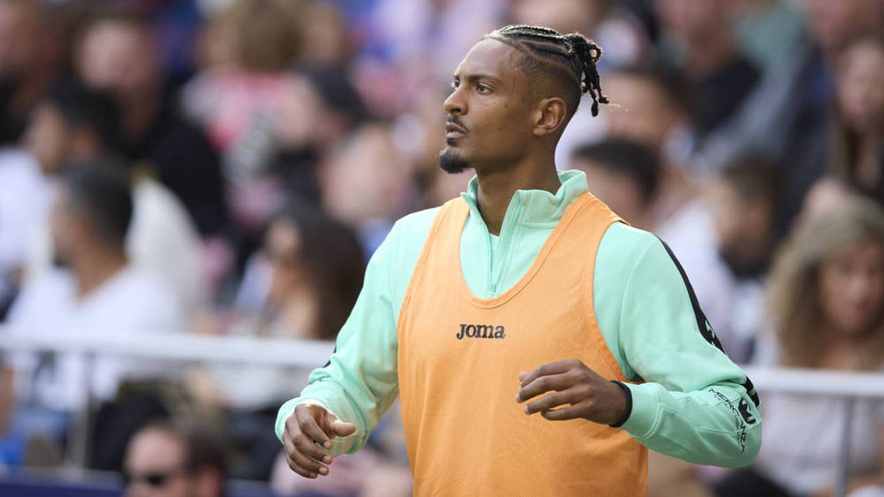 Haller steckt in der Sackgasse