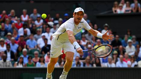 Andy Murray steht im Halbfinale von Wimbledon