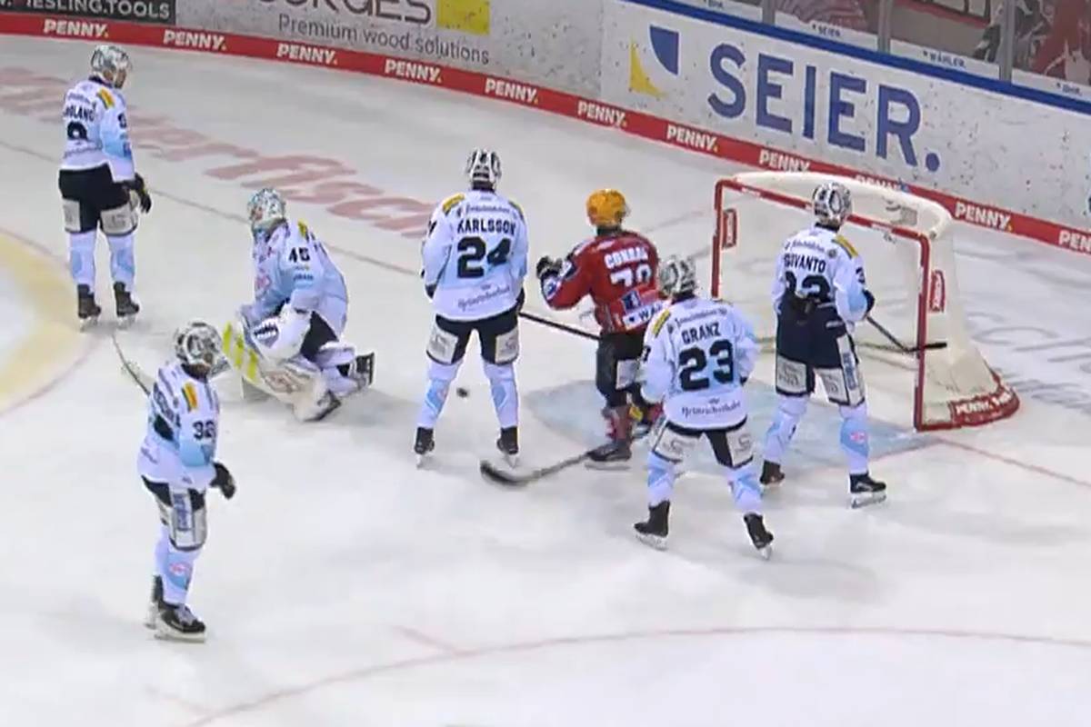 Pinguins Bremerhaven - Dresdner Eislöwen