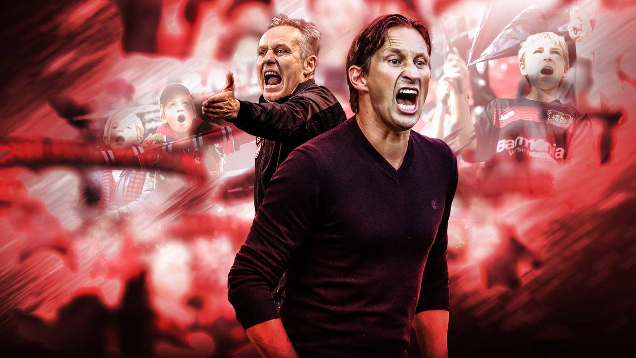 Schmidt und Streich: Kritik vom BDFL