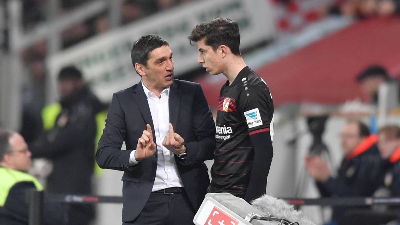 Havertz: Schule schlägt Königsklasse