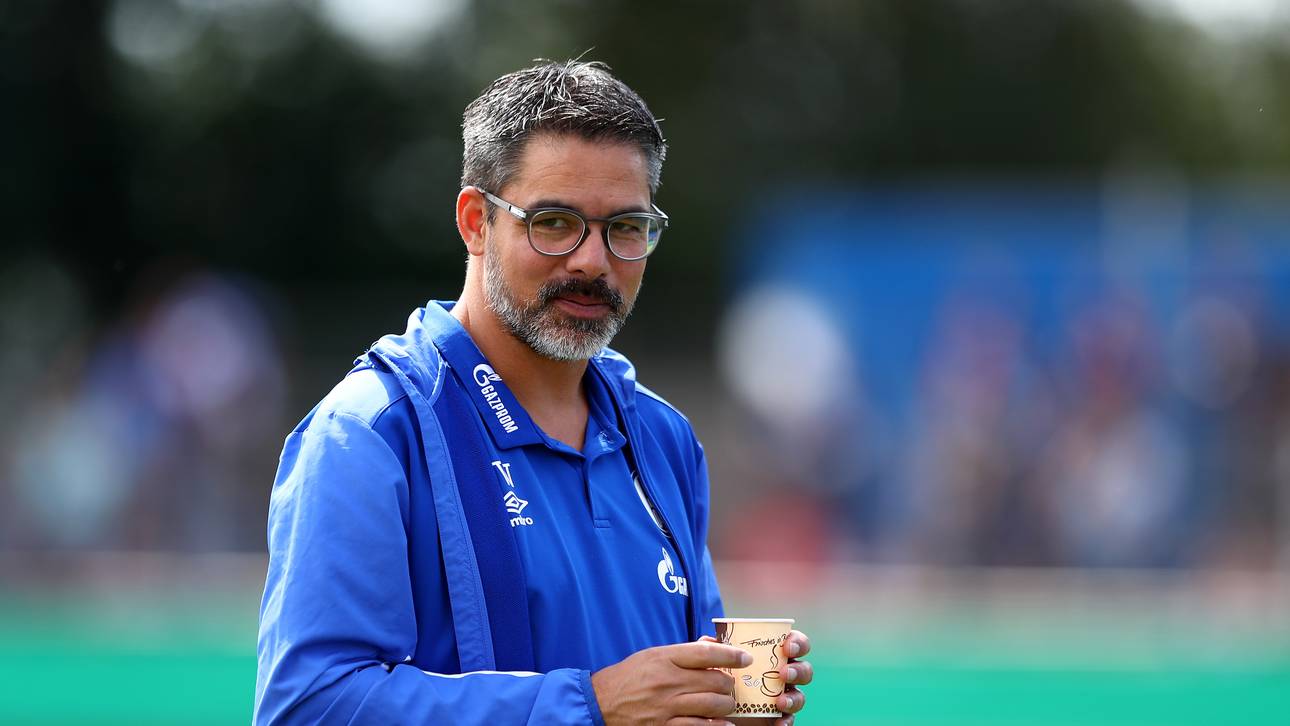 David Wagner kritisiert 50+1-Regel