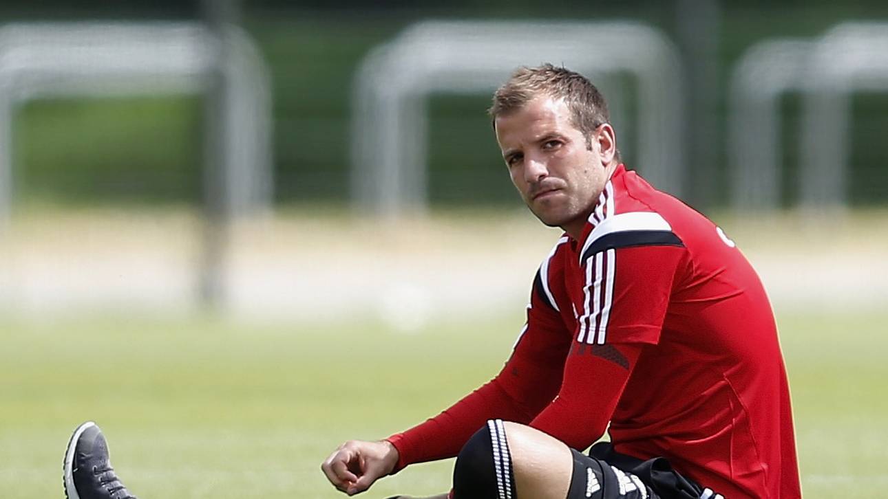 Doll bestätigt: Wollen van der Vaart