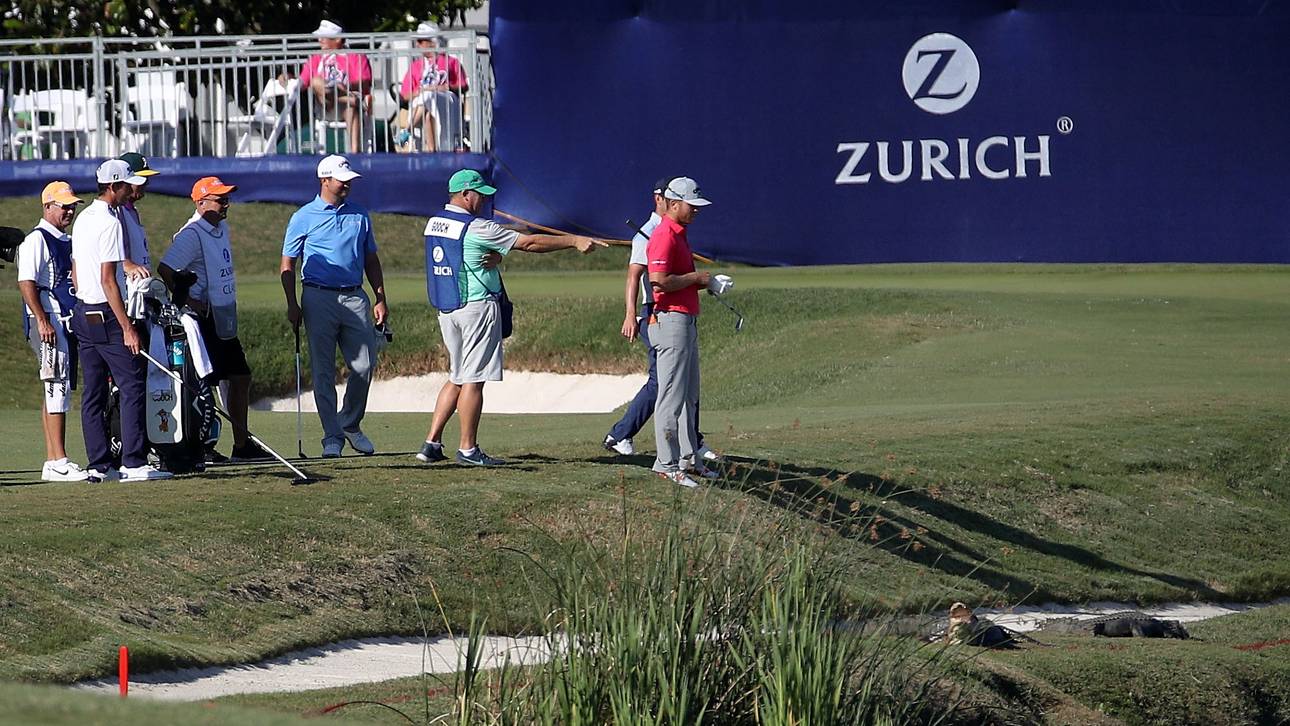 Profigolfer flüchtet vor Alligator