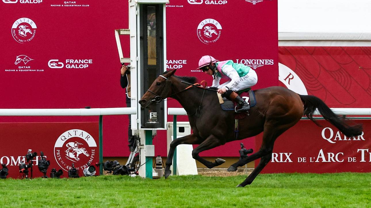 Wirbel um deutsches Star-Pferd