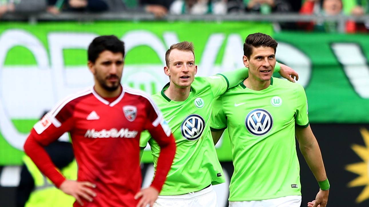 Leitwolf Gomez tanzt – und mahnt