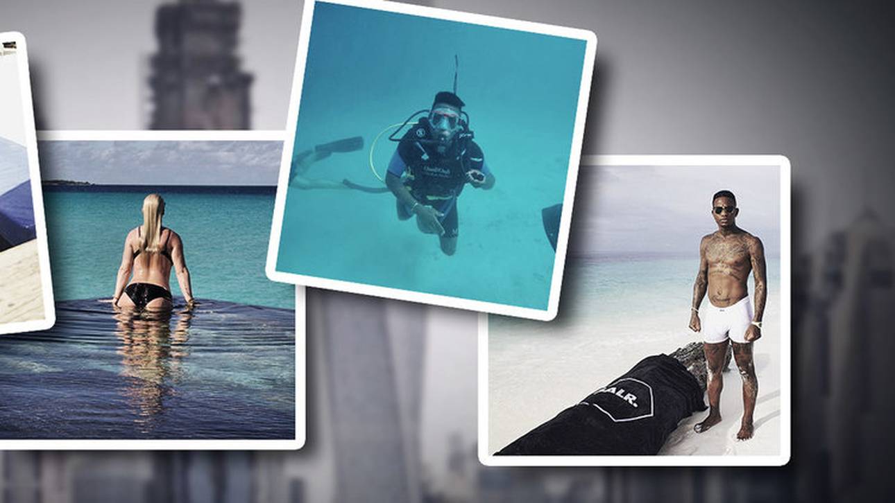 Elia und seine Flitterwochen deluxe