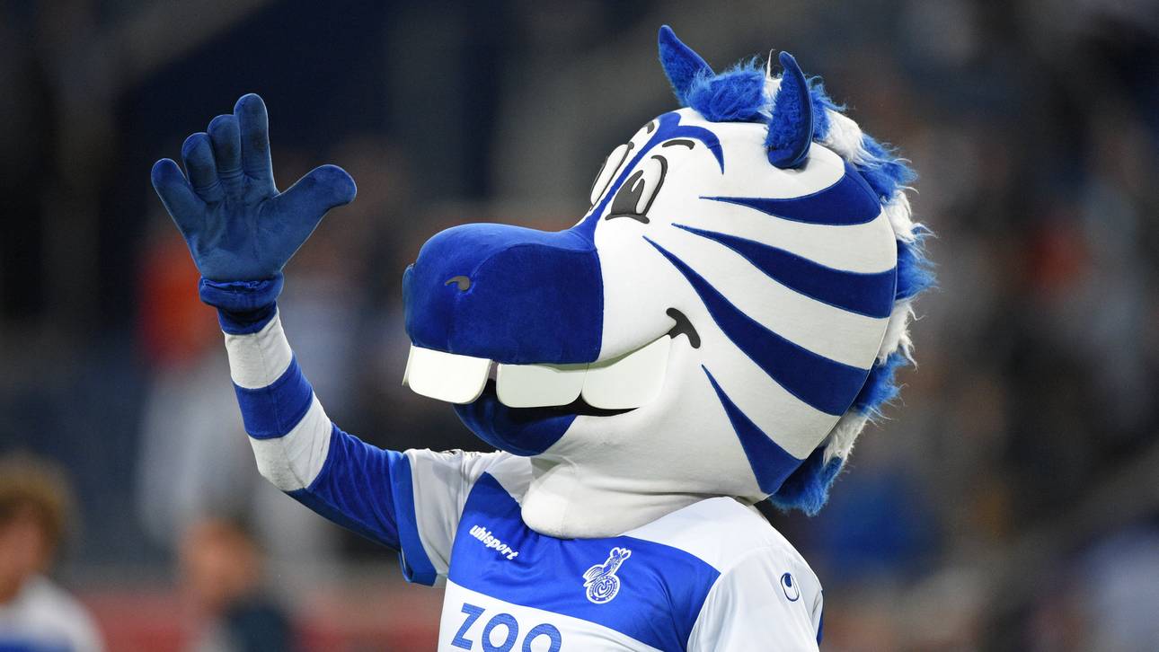 Kabel wird Maskottchen zum Verhängnis