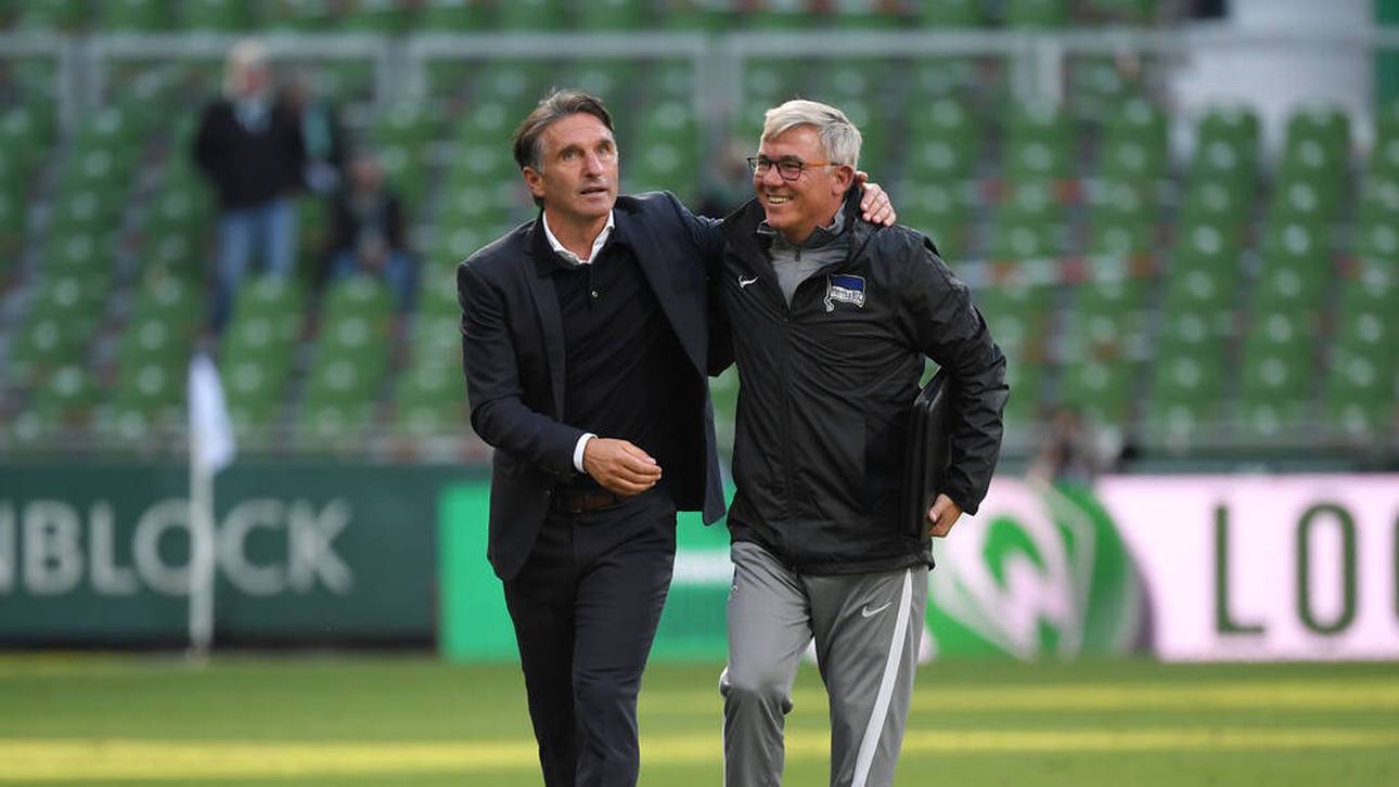 Bruno Labbadia (l.) und Olaf Janßen (r.) arbeiteten lange Zeit zusammen