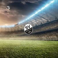 3. Liga: SSV Jahn Regensburg – SV Sandhausen (Samstag, 14:00 Uhr)