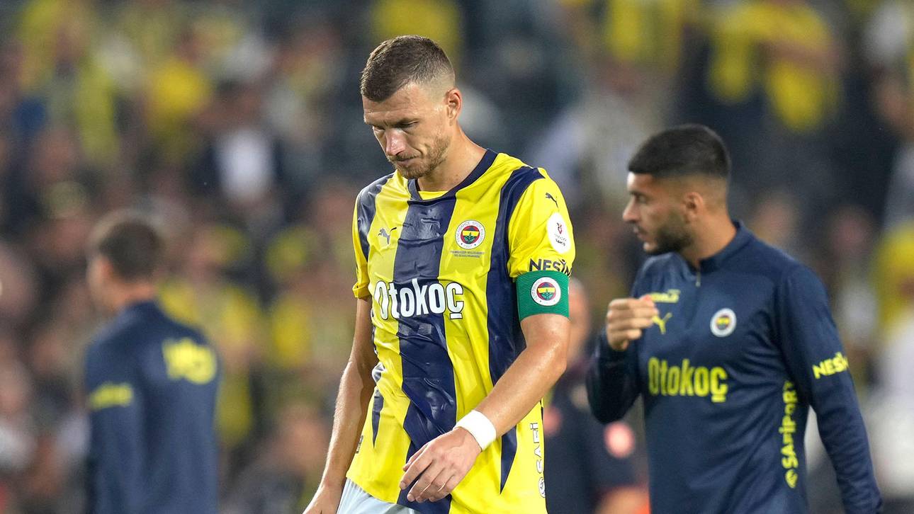 Fenerbahce – Anderlecht Tipp, Prognose, Quoten 13.02.2025