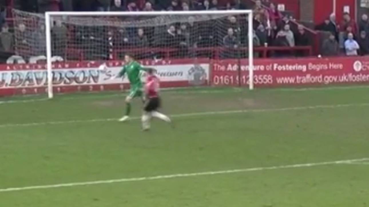 Englischer Keeper legt sich Ei ins Nest